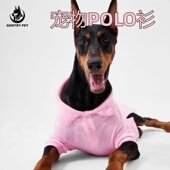 薄款 意大利Gentry 夏季 宠物狗狗POLO衫 透气刺绣翻领 Pet2026新款