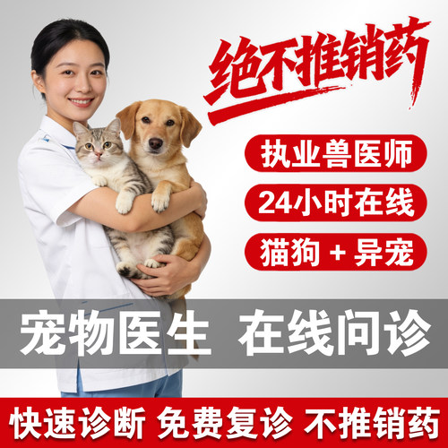宠物医生在线问诊24小时宠物医院兽医问诊猫狗异宠问诊鼠鹦鹉问诊