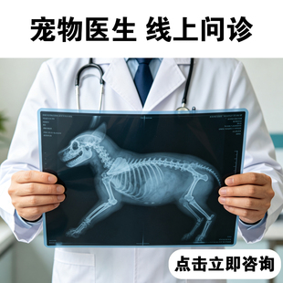 兽医问诊宠物医生在线问诊狗猫问诊看病诊疗咨询线上动物医院诊所