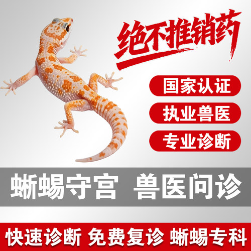 宠物医生在线问诊24小时蜥蜴问诊守宫异宠问诊鬃狮蜥豹纹守宫问诊