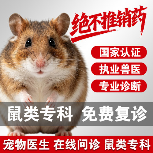 宠物医院问诊金丝熊在线宠医仓鼠医生鼠类看病宠物兽医花枝鼠问诊
