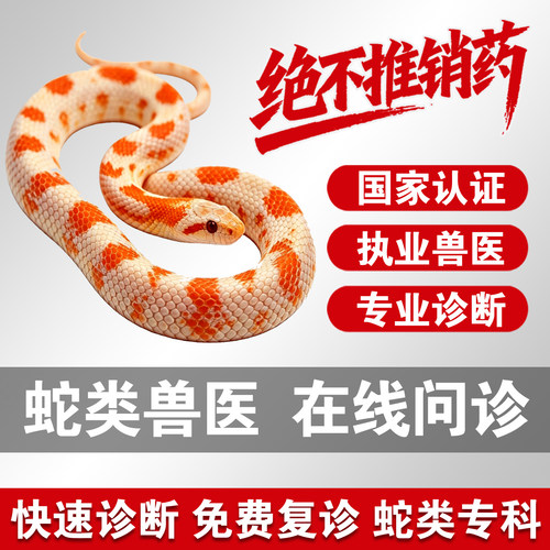 宠物医生在线问诊24小时蛇类医生蛇看病咨询蛇问诊蛇咨询爬宠问诊
