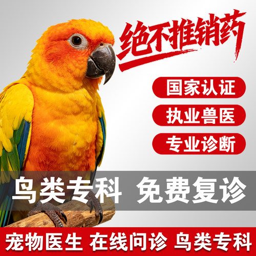 鸟类问诊鹦鹉问诊看病宠物医生在线问诊异宠治疗虎皮玄凤鸟医生