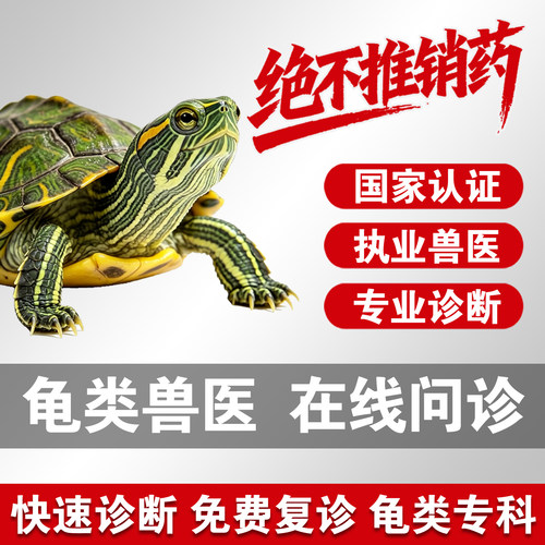 在线问诊