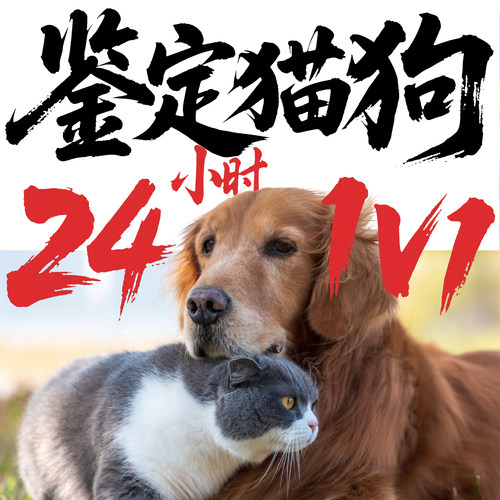 【24小时】猫狗鉴定●人工1V1