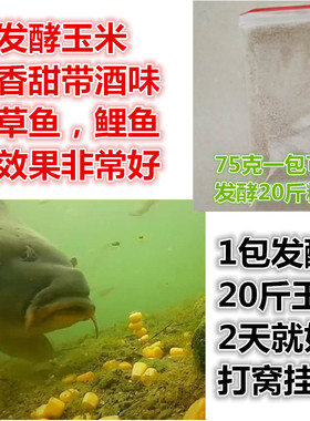 白酒曲75克香酒粉传统做玉米稻谷高粱酒药酵母熟料钓鱼酿酒发酵曲