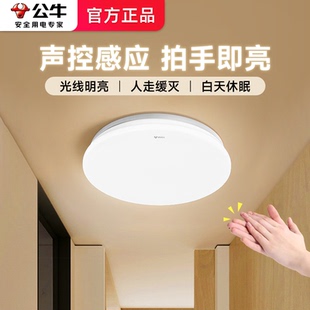 公牛led感应吸顶灯声控灯卧室楼道入户走廊光控照明感应灯防虫尘