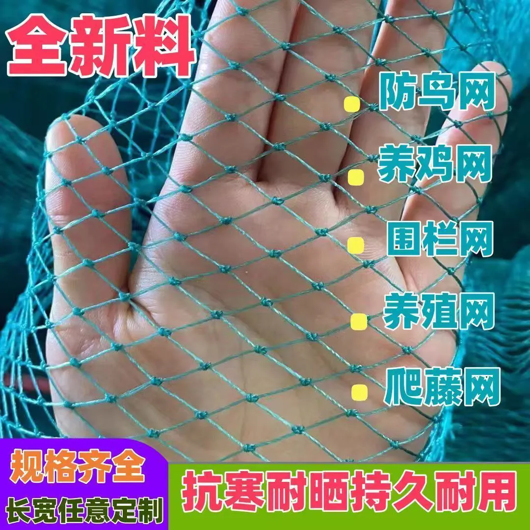 养殖网养鸡网尼龙网防鸟网爬藤网全新建筑网养鸭围网小孔果树网罩