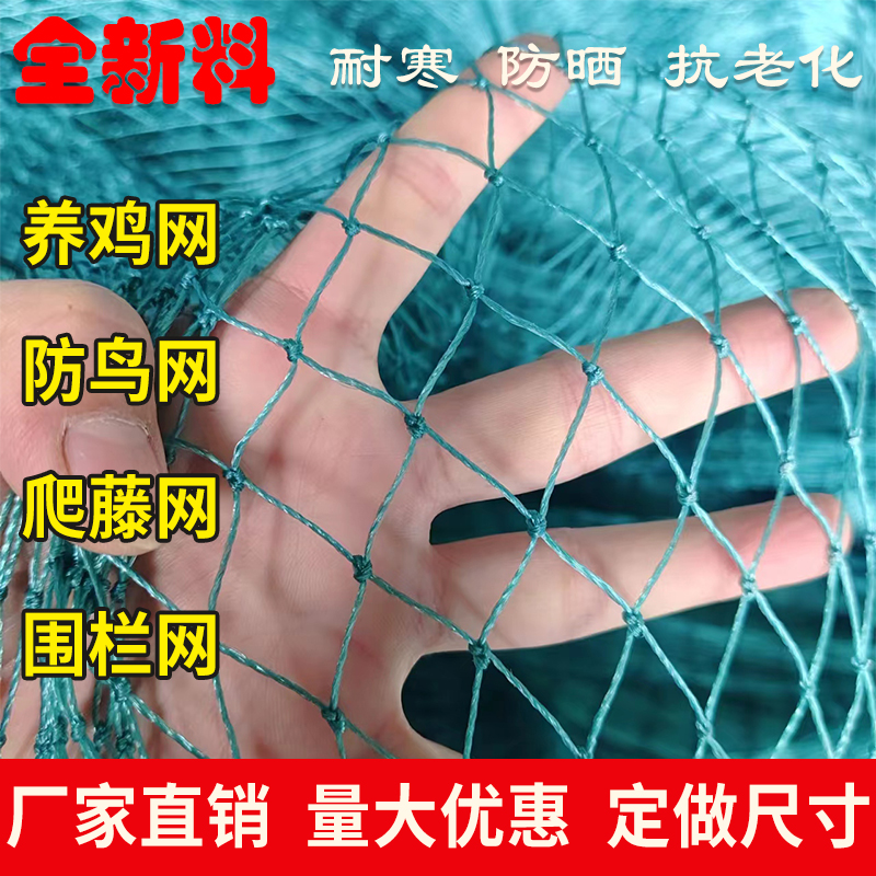 养殖网养鸡网尼龙网防鸟网爬藤网网鱼网格塑料网樱桃孔雀网片渔网