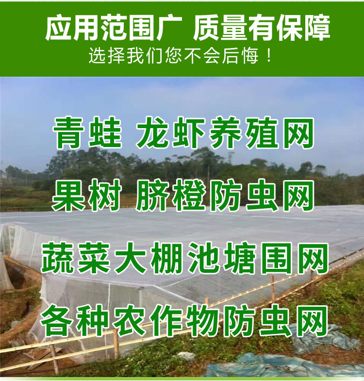 番石榴果树果实防虫袋套袋防虫网芭乐水果套袋防虫防鸟扑鸟的网罩在类目 鲜花速递/花卉仿真/绿植园艺, 园艺用品, 其它园艺用品中 - 来自Buy2taobao.com提供专业的淘宝代购服务