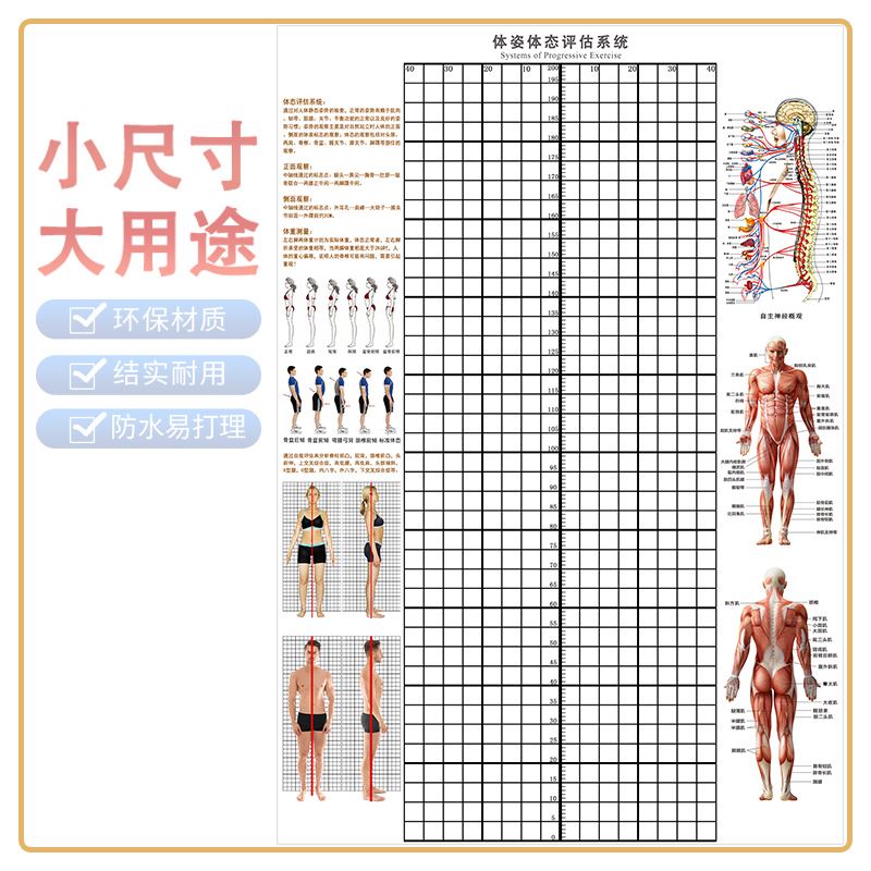 小表墙130110-图120-70评估100体姿-140尺寸体态体测---80-贴90