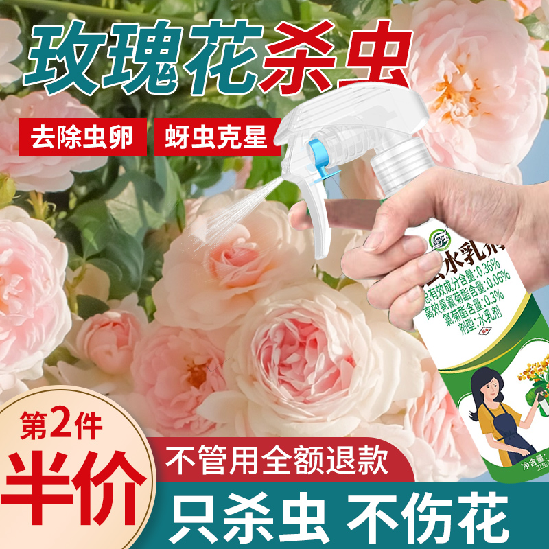 玫瑰花杀虫剂花卉植物土壤灭盆栽小飞虫药蚧壳虫蚜虫打虫家用治虫
