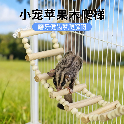 蜜袋鼯原木云梯实木梯子攀爬玩具飞鼠爬梯蜜袋鼬玩耍笼内娱乐