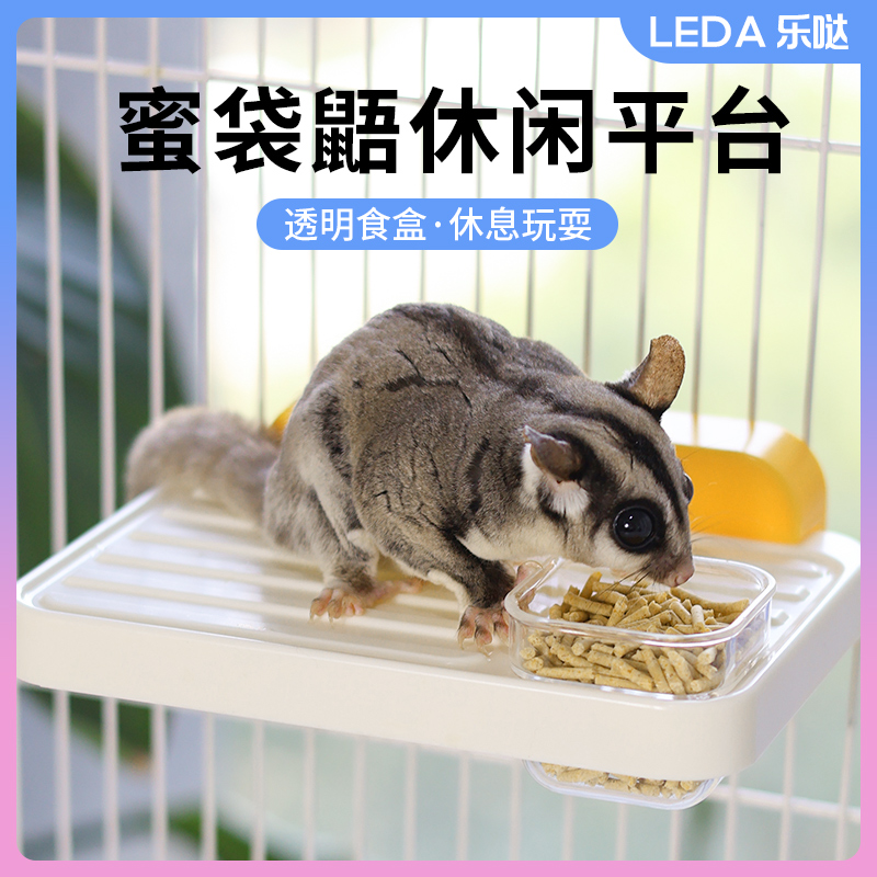 蜜袋鼯休闲平台食盆攀爬喂食