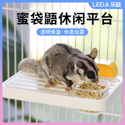 蜜袋鼯休闲平台食盆攀爬喂食站台食盆水盆造景布景宠物饲养用品