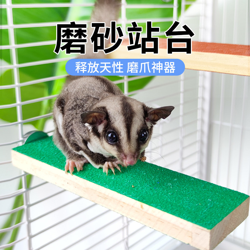 LEDA蜜袋鼯玩具磨砂站台