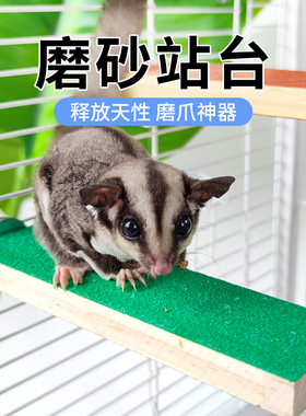 蜜袋鼯玩具磨砂站台小宠攀爬玩具小蜜站棍小蜜站棍鼯幼崽宠物用品