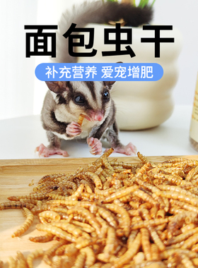 蜜袋鼯零食面包虫干黄粉仓鼠粮金丝熊互动零食营养非油炸小宠食品