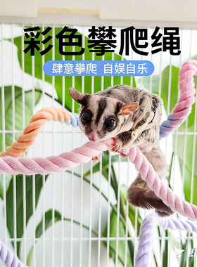 蜜袋鼯攀爬棉绳玩具攀爬专用绳笼内站杆解闷自嗨造景布景宠物品