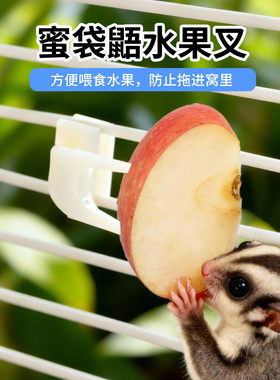 蜜袋鼯水果喂食器水果夹小宠食物夹饲养笼子食物夹笼内固定神器