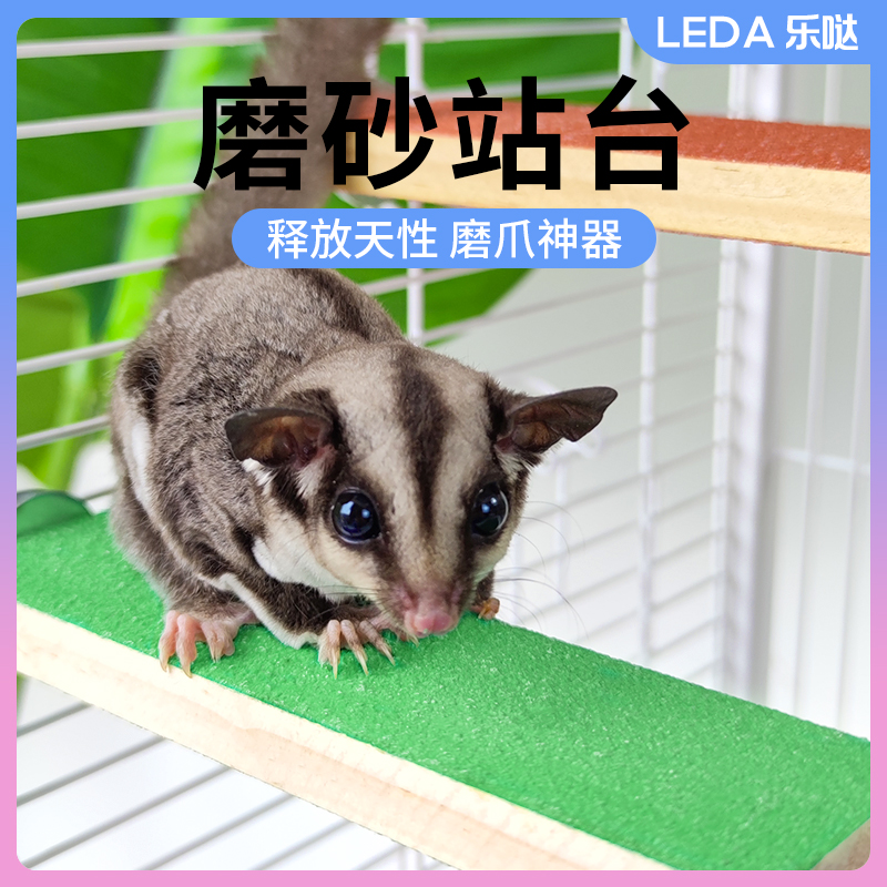 蜜袋鼯玩具磨砂站台小宠攀爬玩具小蜜站棍小蜜站棍鼯幼崽宠物用品