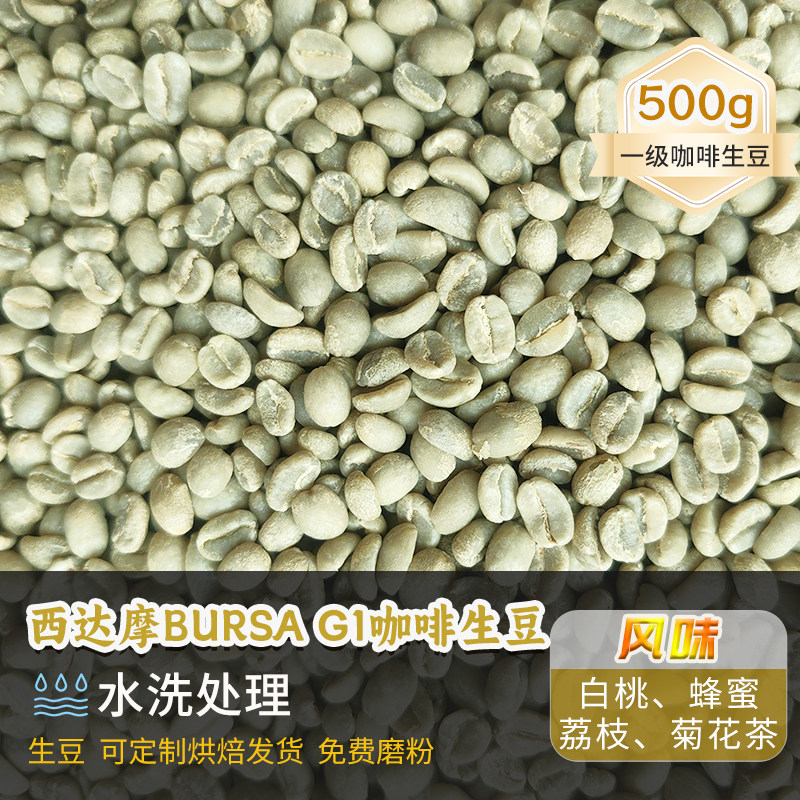 埃塞西达摩G1水洗咖啡500g