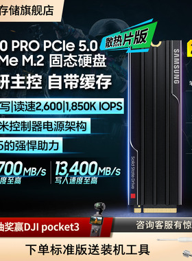 三星9100PRO散热片版 2TB台式机PCPS5电脑NVMePCIe5.0M.2固态硬盘