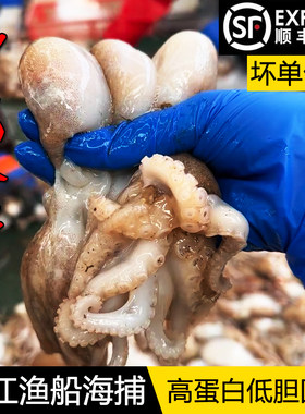 湛江新鲜八爪鱼乌贼海鲜水产