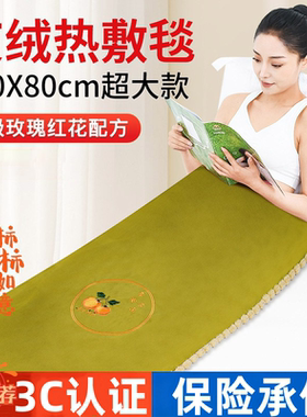 电加热艾绒艾灸热敷床垫全身通用