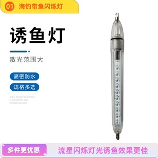海釣漁具燈LED深海誘魚燈新型流星燈引魚器防水耐壓聚魚燈閃光燈