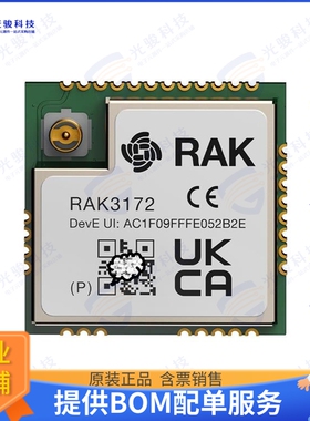 RAK3172-9-SM-NI 射频元件MODULE FOR LORAWAN RAK3172 BASED