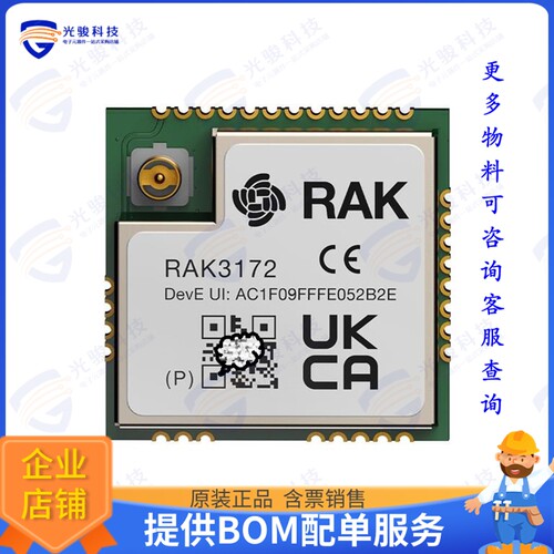 RAK3172-9-SM-NI 射频元件MODULE FOR LORAWAN RAK3172 BASED