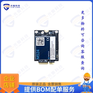 SERIES LTE EUROPE 射频元 件M M524MEA CAT1