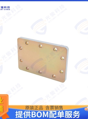 PEW284SP8 射频元件WR-284 Waveguide Short Plate, CP