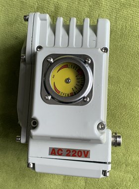 DY-05 DN20电动执行器ZXQ2004C智能阀门定位器DY-10 AC220V