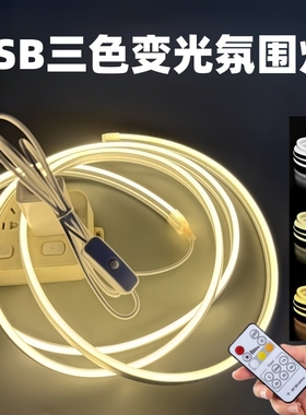 遥控灯带led灯条可调节亮度定时语音usb床头氛围灯床上三色小夜灯