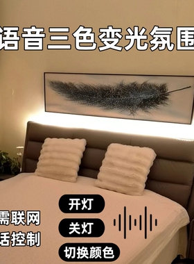 床头氛围灯带led灯条卧室房间主卧宿舍客厅背景语音智能变光灯带