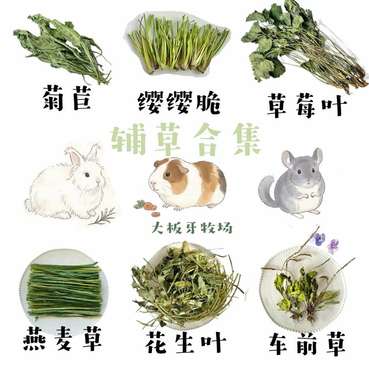 辅草合集 | 烘干菊苣花生秧草莓叶车前草等有益草本兔子龙猫豚鼠