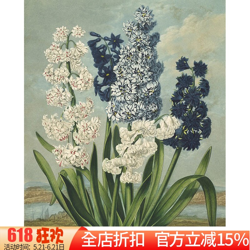 新款印花正品DMC十字绣套件客厅卧室玄关欧美油画花卉 复古风信子