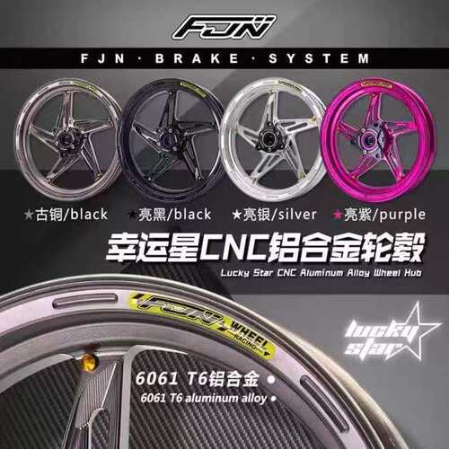 FJN新款闪耀星/幸运星轮毂单碟双碟 九/牛/极 通用下沉法兰