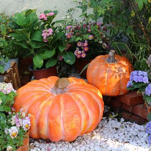 大型仿真南瓜摆件万圣节户外农场庭院花园装 饰品美陈园林景观雕塑