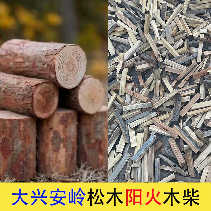 天然松树原木柴火炉壁炉篝火露营户外露营野炊原生松木引火干柴火