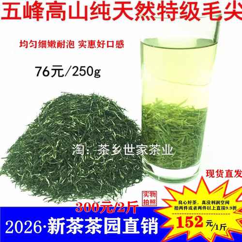 五峰毛尖采花绿茶叶高山高山湖北