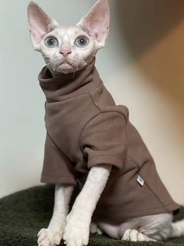 Delong спонтанно нагреть осень и зимний согревающий дновой свитер, безволосочный кот, Sphinx dvinis abi