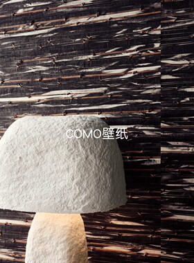 OMEXCO比利时进口 ECLIPSE新款天然深色系藤条编织背景墙纸ECP601