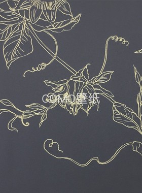 荷兰BN 普拉德PRELOVED 田园风 墙纸220941 220942 220943 220951