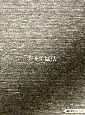 进口Tapetex 69 真丝Aditi Plain墙纸墙布69-2426 2427 2428 2429