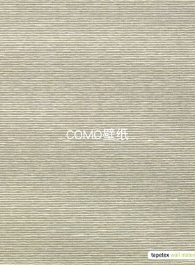 Tapetex 69真丝Aditi Plain墙纸墙布69-2421 2422 2423 2424 2425