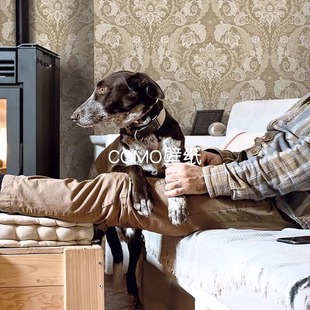 70005 大花背景墙纸CL70002 70007 Robinson奢华欧式 美国进口Carl