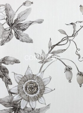 BN荷兰 西番莲 墙纸220900 220901 220902 220903 220904 220905